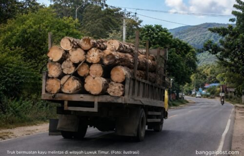 Kayu Tanpa Dokumen Lengkap Diduga Masih Bebas Berseliweran di Wilayah Hukum Luwuk Timur, APH Kerap Kecolongan