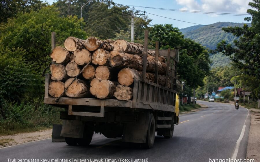 Kayu Tanpa Dokumen Lengkap Diduga Masih Bebas Berseliweran di Wilayah Hukum Luwuk Timur, APH Kerap Kecolongan