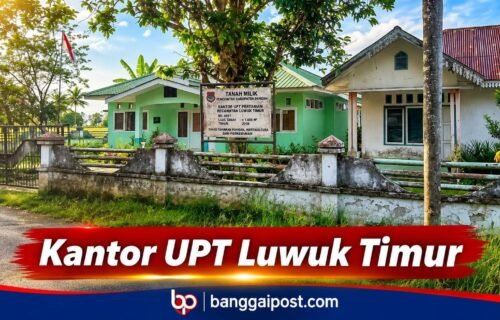 Gerakan Pengendalian Hama Tikus Digelar di Masama, Luwuk Timur Belum Tersentuh