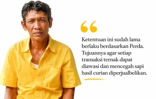 Marak Pencurian Sapi di Masama, Warga Diminta Patuhi Perda dan Aktifkan Ronda Malam