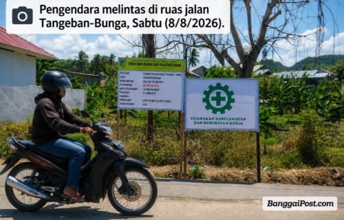 Warga Bertanya, Papan Proyek Tulis Rehabilitasi Jalan, di Lapangan Justru Bangun Bahu Jalan