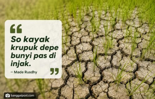 Akibat Kemarau Berkepanjangan, Sawah Warga Masama “Bak Kerupuk”