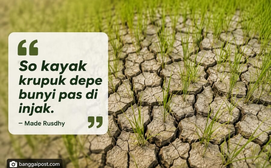 Akibat Kemarau Berkepanjangan, Sawah Warga Masama “Bak Kerupuk”