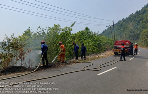 Damkar Bangkep Padamkan Karhutla di Tiga Titik Wilayah Tinangkung