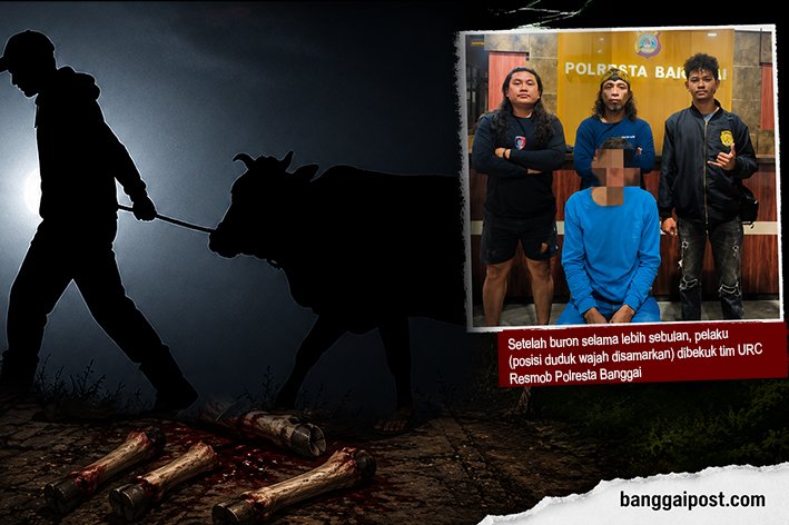 Sadis! Curi Sapi, Pelaku Potong Keempat Kakinya di TKP, Lalu Dijual di Pasar Simpong