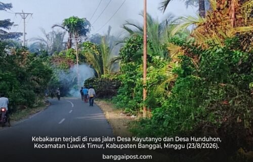 Kebakaran Terjadi di Jalan Poros Kayutanyo-Hunduhon, Kabel Listrik Ikut Terbakar