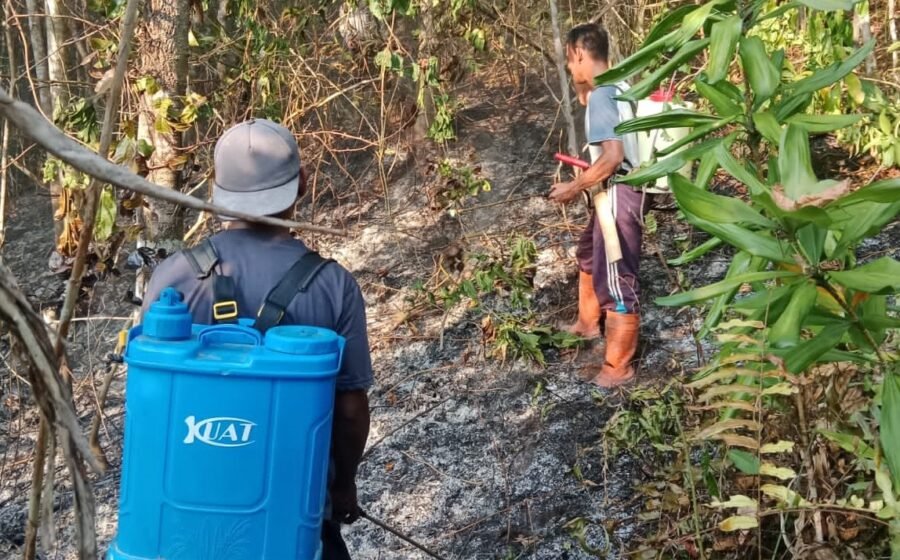 Pemdes dan Masyarakat Gotong Royong Padamkan Api yang Melalap Lahan Warga di Desa Lokotoy