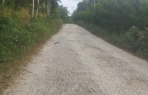 Rusak Total! Jalan Penghubung 3 Desa di Luwuk Timur, SDN Lauwon Ikut Memprihatinkan