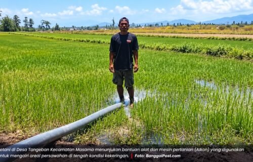 Sawah Dilanda Kekeringan, Petani Masama Akhirnya Dapat Bantuan Alkon