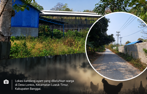 Aroma Busuk Kandang Ayam di Lontos Resahkan Warga, Bau Menyengat hingga Picu Sesak Napas