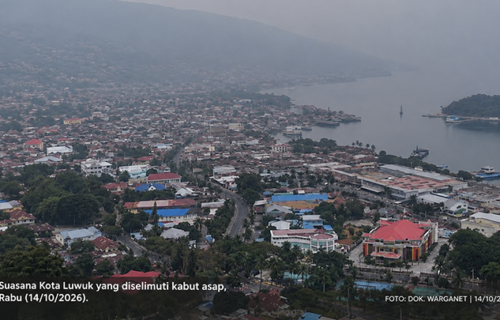 Kabut Asap di Banggai, Jarak Pandang Anjlok hingga 4–5 Km