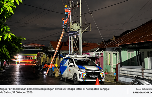 PLN Jadwalkan Pemeliharaan Jaringan, Sejumlah Wilayah Banggai Padam 31 Oktober