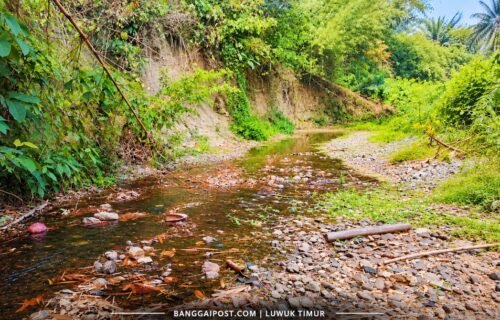 Musim Kemarau Berkepanjangan, Sungai di Desa Baya Luwuk Timur Mulai Mengering