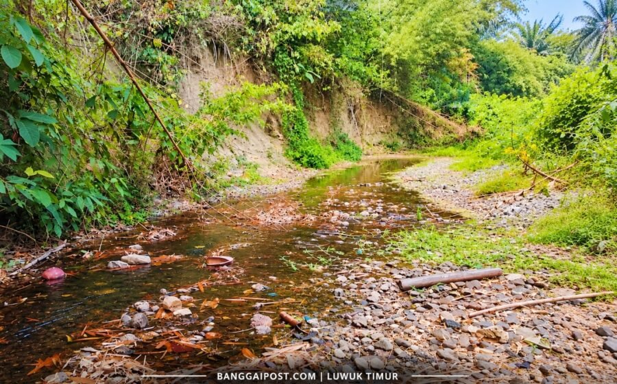 Musim Kemarau Berkepanjangan, Sungai di Desa Baya Luwuk Timur Mulai Mengering