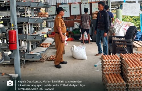 Kades Lontos Inspeksi Kandang Ayam PT Berkah Ayam Jaya Sempurna, Ini Temuannya