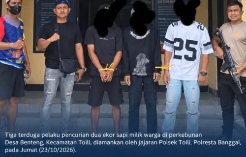 Dua Ekor Sapi Milik Warga Hilang di Kebun Benteng, Tiga Terduga Pelaku Diamankan